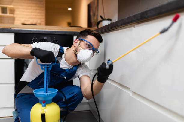 Best Wasp Removal Services  in Glenview, IL