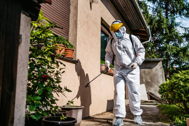 Best Wasp Removal Services  in Glenview, IL