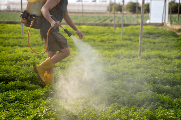 Best Pest Removal Services  in Glenview, IL