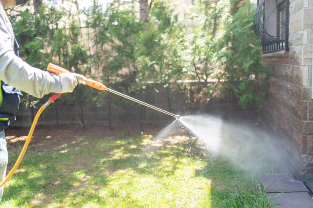 Best Wasp Removal Services  in Glenview, IL
