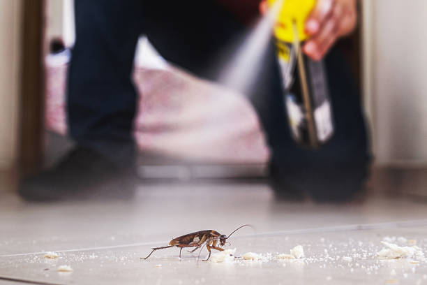 Best Best Pest Control Companies  in Glenview, IL