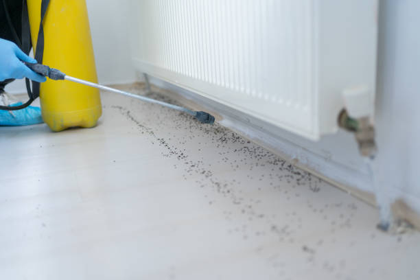 Best Best Pest Control Companies  in Glenview, IL