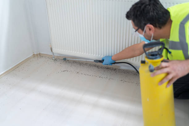 Flea Control Services in Glenview, IL
