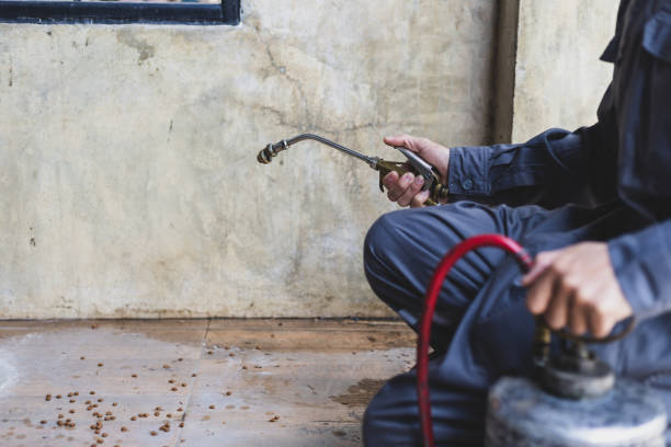 Best Exterminator Services  in Glenview, IL